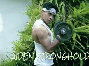 AIDEN_STRONGHOLD