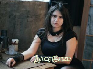 AviceBird