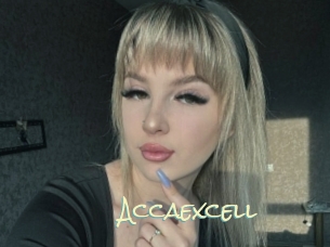 Accaexcell