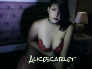 Alicescarlet