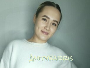 Amitybarris