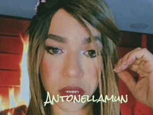 Antonellamun