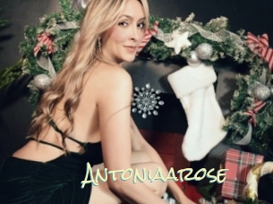 Antoniaarose