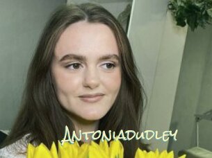 Antoniadudley