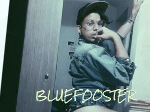 BLUEFOOSTER