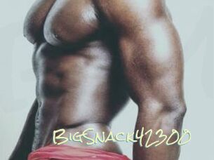 BigSnack42300