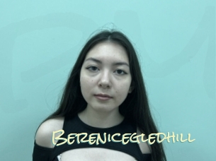 Berenicegledhill