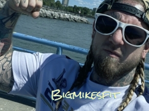 Bigmikesfit