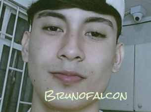 Brunofalcon