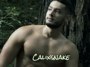 Calixsnake