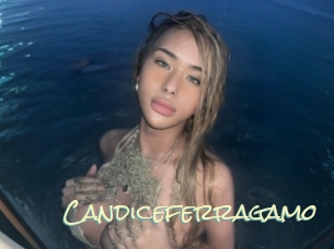 Candiceferragamo