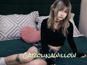 Carolinawillow