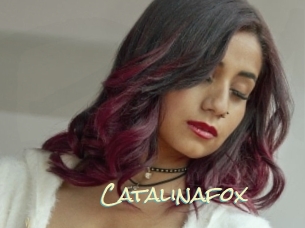 Catalinafox