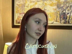 Catecurvin