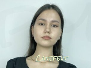 Catefelt