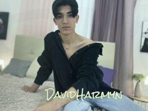 DavidHarmyn