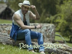 DomiinicSantos