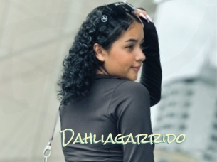 Dahliagarrido