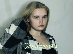 Daisygambee