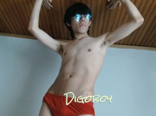 Digoboy