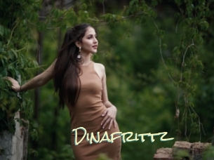 Dinafrittz