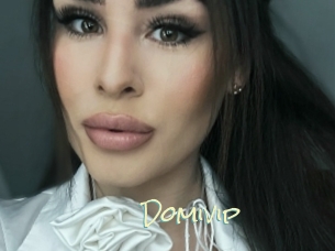 Domivip