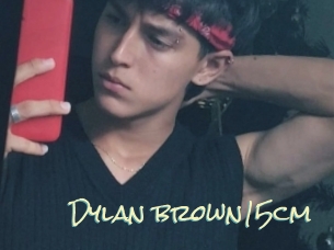 Dylan_brown15cm