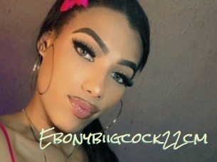 Ebonybiigcock22cm