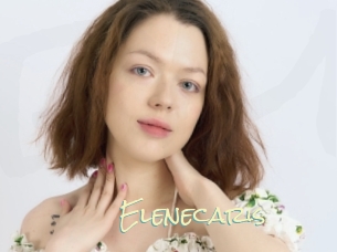 Elenecaris