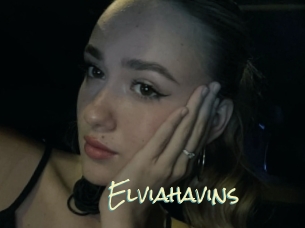 Elviahavins