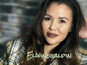 Elwinegalpin