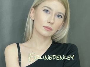 Erlinedenley