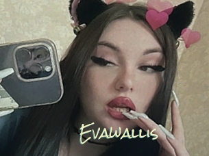 Evawallis