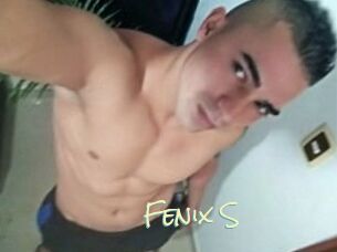 Fenix_S