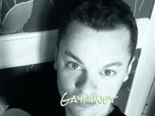 Gayminet