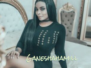 Ganeshahamill