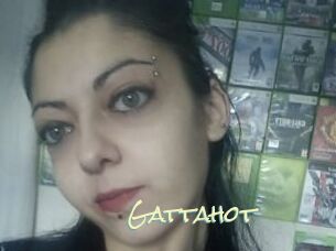 Gattahot