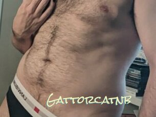 Gattorcatnb