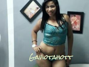 Gaviotahott