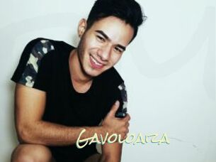 Gavoloaiza