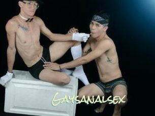 Gaysanalsex