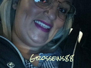 Grosseins88