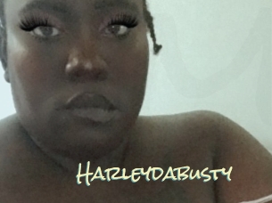 Harleydabusty