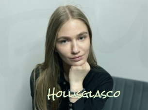 Hollisglasco