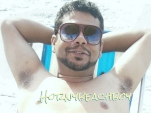 Hornybeachboy