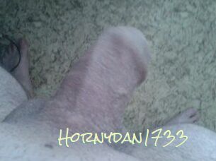 Hornydan1733