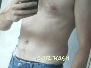 Igor_bash