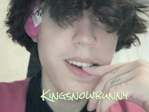 Kingsnowbunny