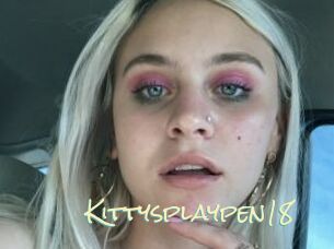 Kittysplaypen18