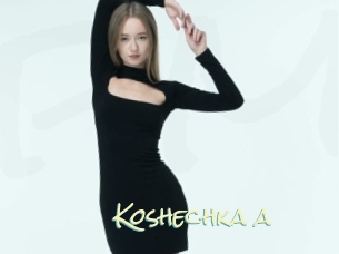 Koshechka_a